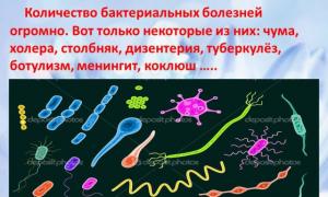 Патогены: основные типы и способы передачи возбудителей инфекции